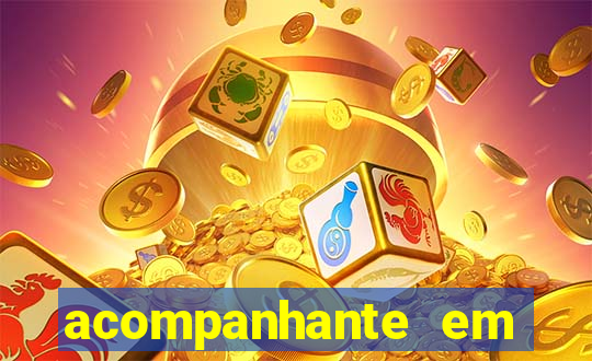 acompanhante em porto seguro